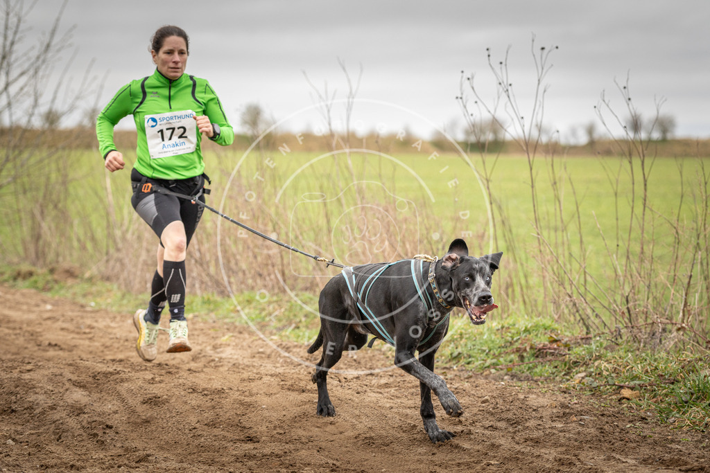 DV3A1978 | Hundefotografie, Tierfotograf, Pfotenfotografie, Fotoshooting Hund, Hunde Portrait, Hundesport, Hundeportraits, Heideshooting, Hunde, Sportfotograf, Hundefotograf, Turnierhundsport, THS,  - Realisiert mit Pictrs.com