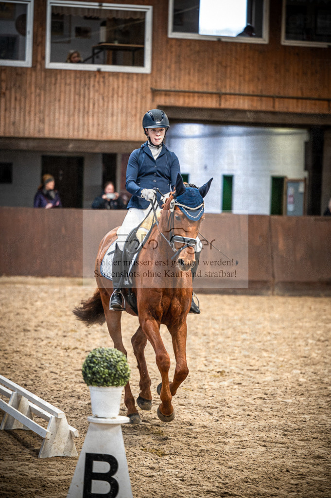 Hallenreittunier Voxtrup 2023 | Entdecke hochwertige Reitturnierfotos von Foto Oger. Professionell, emotional und authentisch – jetzt Lieblingsmomente im Shop bestellen.Deutschlandweite Turnierfotografie. - Realisiert mit Pictrs.com