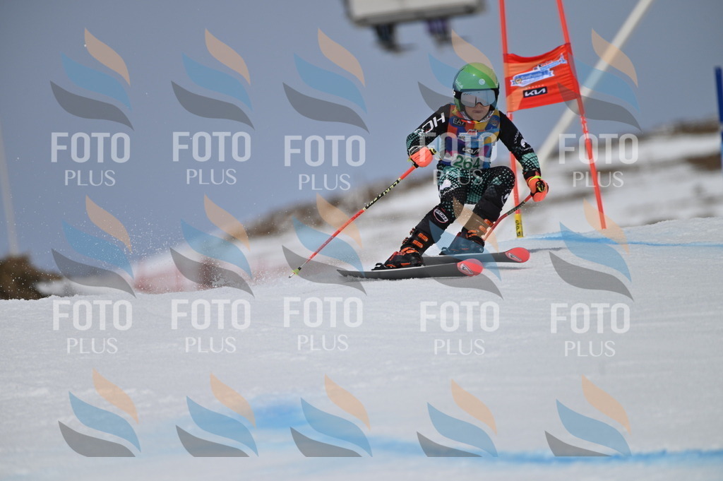 BGV_5239 | holidayphoto