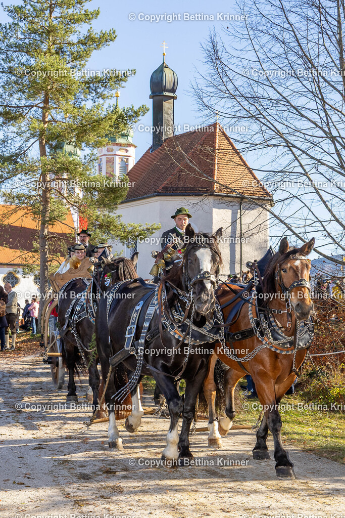 LBT25-1401 | foto-bettina-krinner - Realisiert mit Pictrs.com