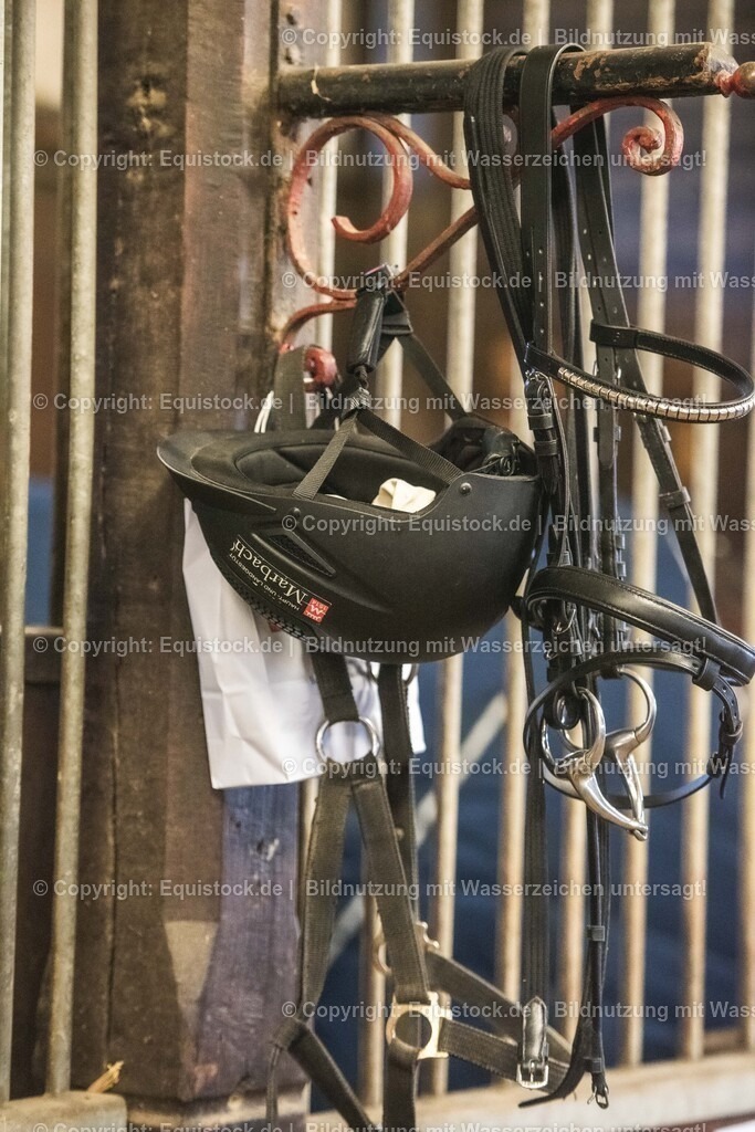 20240302_Hengstvorstellung_Marbach_TOMsPiC_0024 | equistock