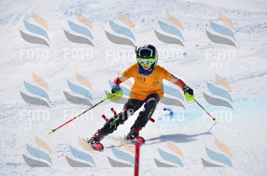 C9801 | holidayphoto