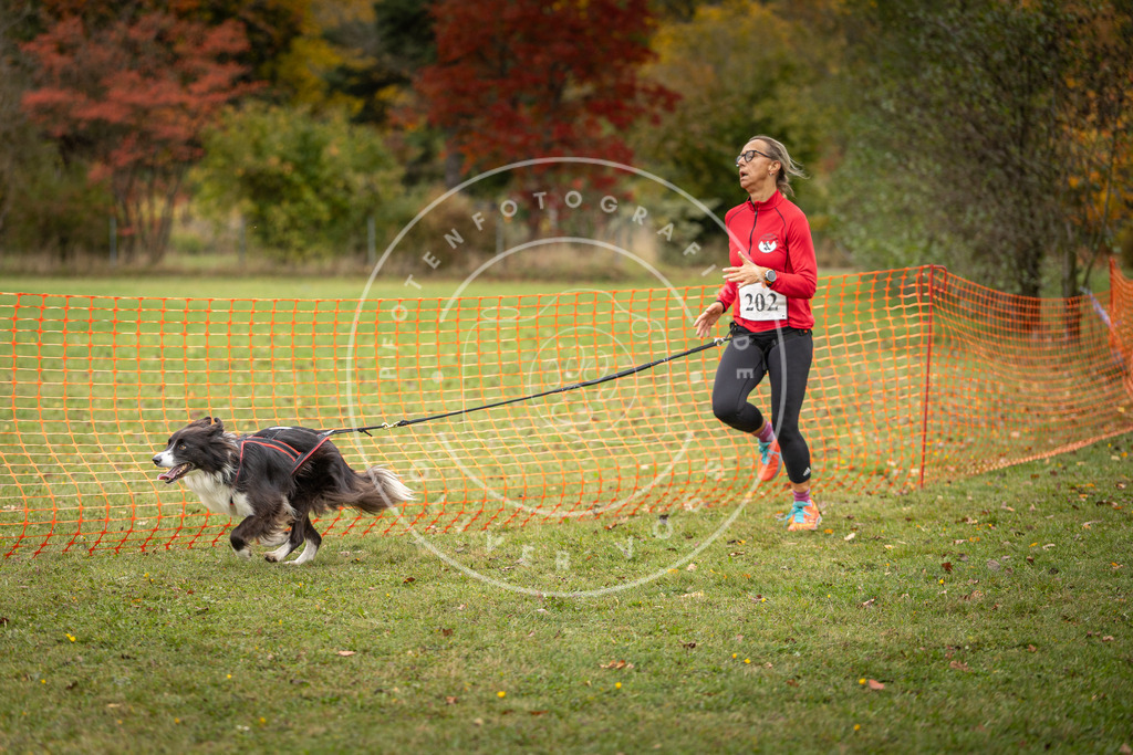 Pfotenfotografie_DV3A4149 | Hundefotografie, Tierfotograf, Pfotenfotografie, Fotoshooting Hund, Hunde Portrait, Hundesport, Hundeportraits, Heideshooting, Hunde, Sportfotograf, Hundefotograf, Turnierhundsport, THS,  - Realisiert mit Pictrs.com