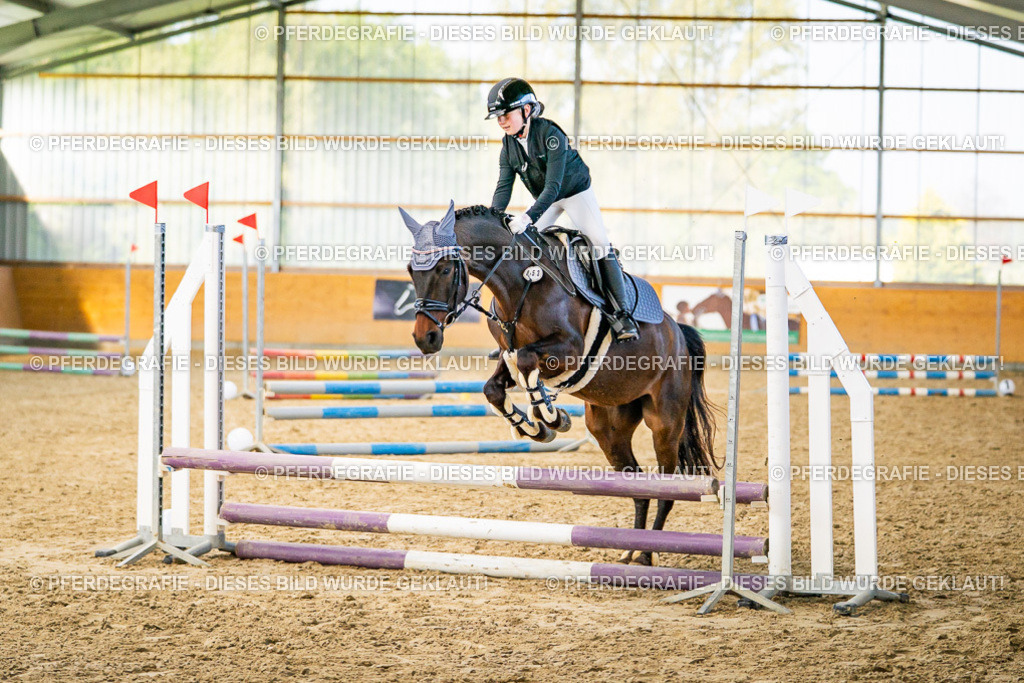 DSC00900 | Pferdegrafie