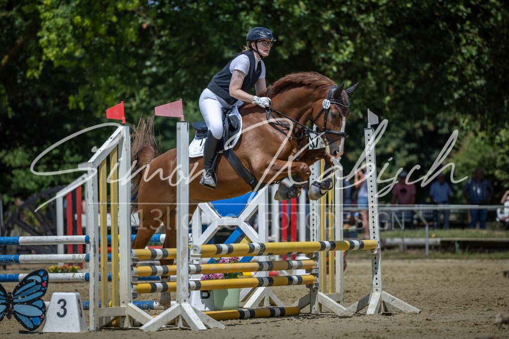 20260704-_3LI8752 | Tierfotografie Pferde, Hunde, Katzen, Haustiere.
Turnierfotografie Reitturniere, Reiten, Springreiten, Dressur in Hanau, dem Main-Kinzig-Kreis und dem Rhein-Main- Gebiet um Frankfurt