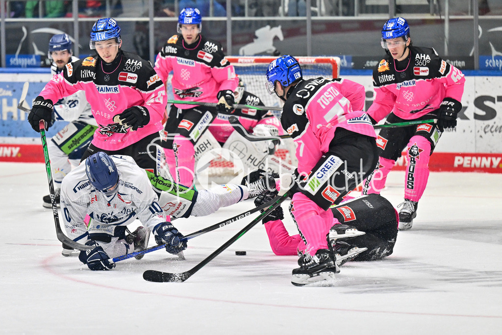 Augsburger Panther - Straubing Tigers | Zweikampf