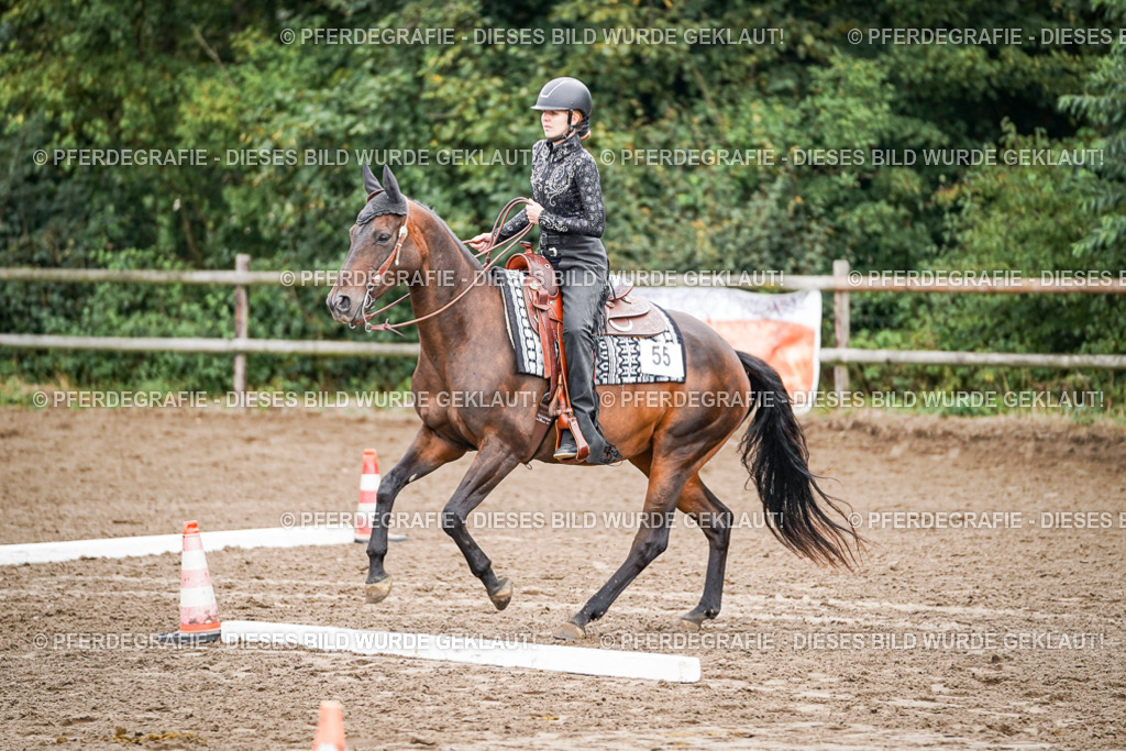 DSC03188 | Pferdegrafie