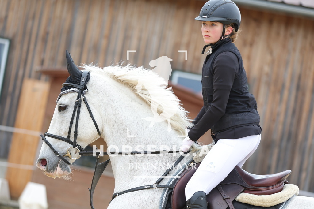 0P6A3724 | Willkommen bei Brunnmayr - Design & Fotografie – Ihrem Spezialisten für Reitturniere und Pferdeveranstaltungen in Oberösterreich, Salzburg und Bayern! Seit über 17 Jahren sind wir leidenschaftlich dabei.