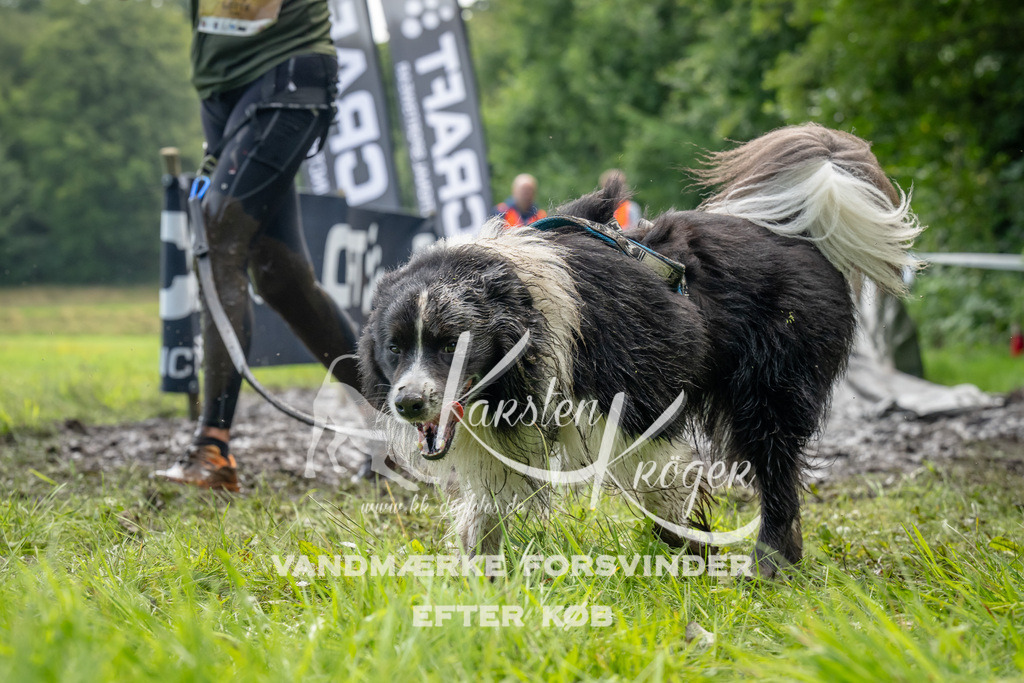 1101_ZZ93387 | kk-dogfotos