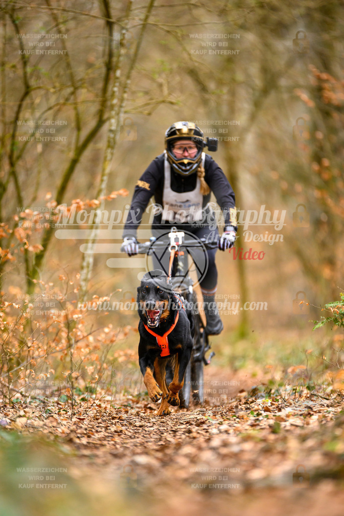 MompixPhotography_ReiatRennen2024_SO_Bike1H-95 | PayLife