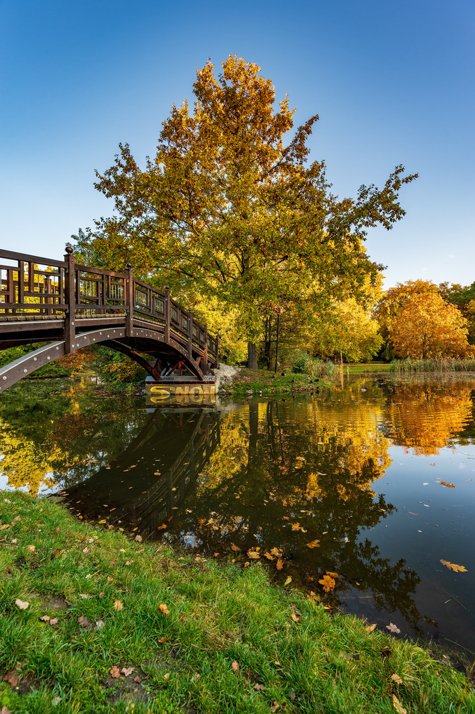 Johanna Park Leipzig | Herbst im Johanna Park Leipzig - Realisiert mit Pictrs.com