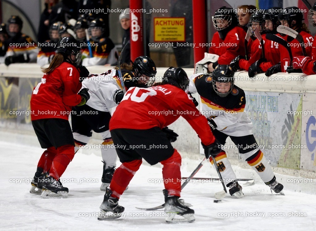 MOWE2230 | hockey sports photos, Pressefotos, Sportfotos, hockey247, win 2day icehockeyleague, Handball Austria, Floorball Austria, ÖVV, Kärntner Eishockeyverband, KEHV, KFV, Kärntner Fussballverband, Österreichischer Volleyballverband, Alps Hockey League, ÖFB, 