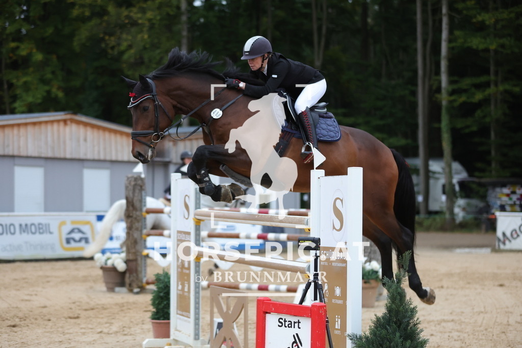 0P6A5061 | Willkommen bei Brunnmayr - Design & Fotografie – Ihrem Spezialisten für Reitturniere und Pferdeveranstaltungen in Oberösterreich, Salzburg und Bayern! Seit über 17 Jahren sind wir leidenschaftlich dabei.