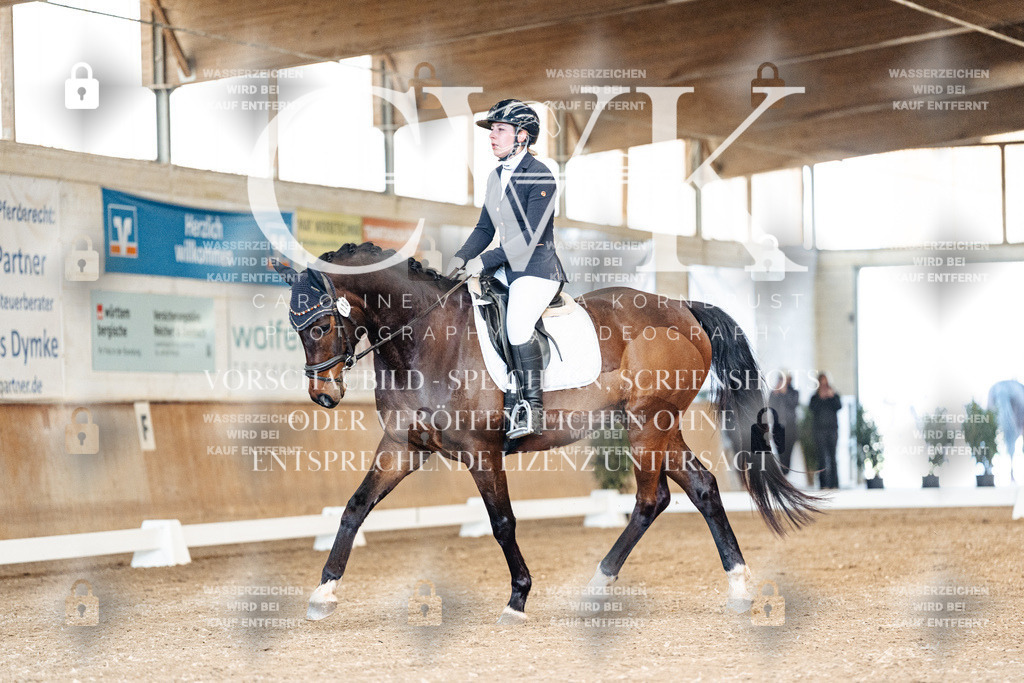 CK900847 | Turnierfotografie Pferdefotografie Trier Rheinland-Pfalz Pferdesport Reitsport Tierfotografie Sportfotografie Pferdevideo Pferdevideografie Equestrianvideography equestrianphotography  - Realisiert mit Pictrs.com