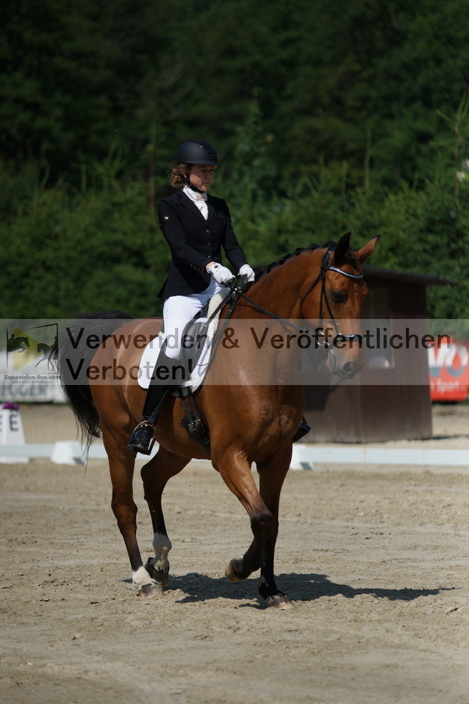 DSC01541 | equestrian-live-com