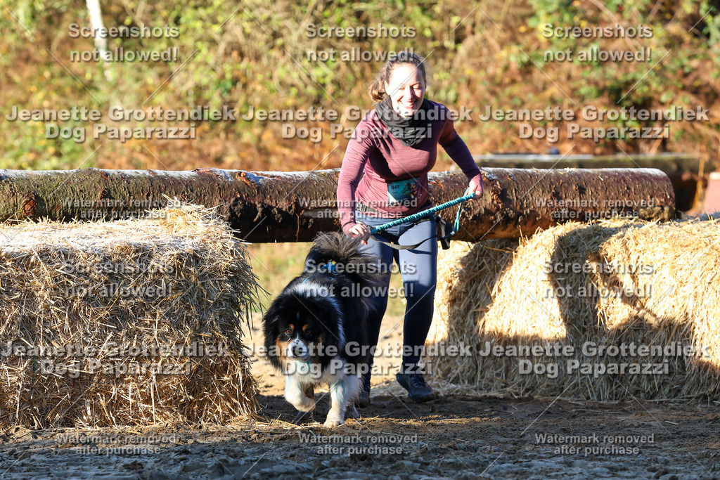 Dog Paparazzi - Strongdog 10-25-782 | Dog Paparazzi Jeanette Grottendiek Fotografie & Videografie - Realisiert mit Pictrs.com