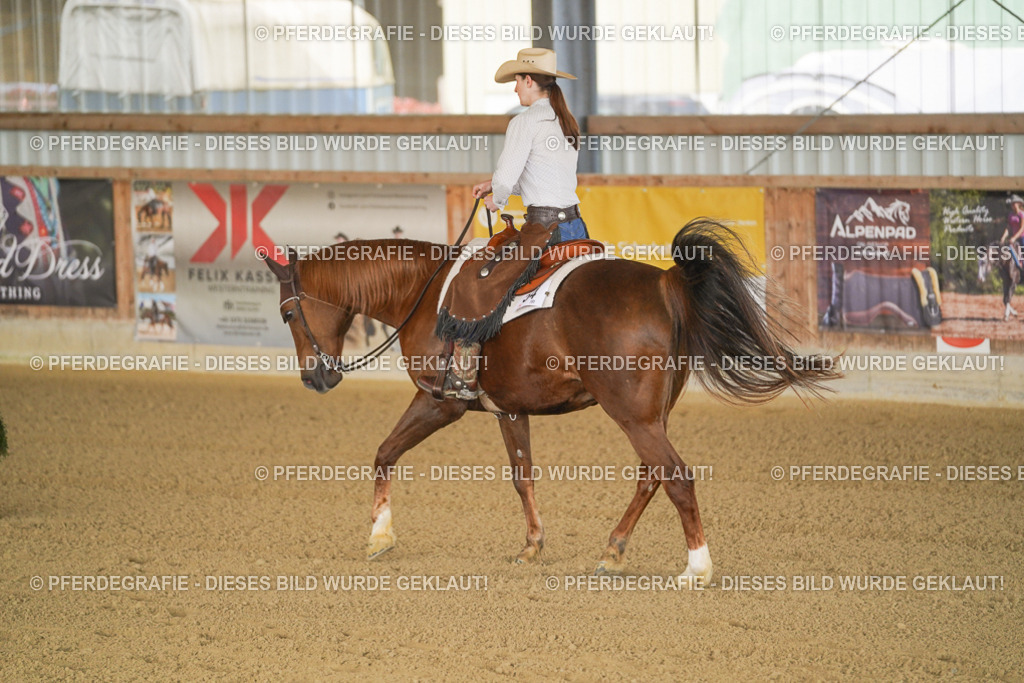 DSC01604 | Pferdegrafie