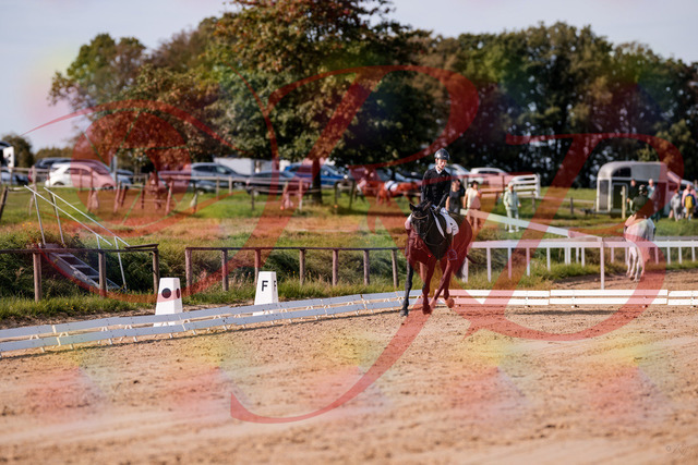 2026_10_03_Siefer-Hof_115409_Z81_92881430 | Professionelle Reitsport-, Turnier- und Eventfotografie von Robert Broda. Galerien mit ausgewählten und bearbeiteten Bildern direkt online ansehen und bestellen.