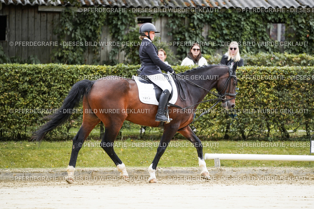 DSC04508 | Pferdegrafie