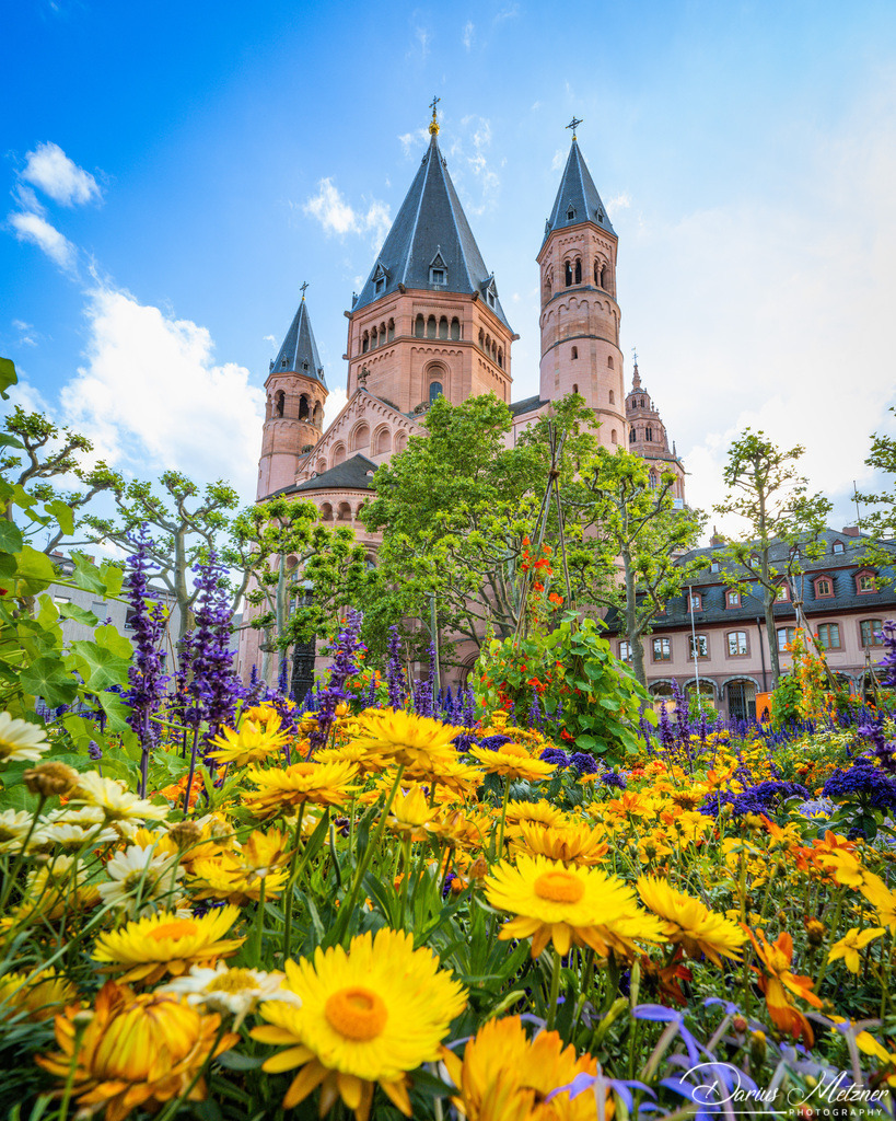 _DSC0570 | Fotografien, Fotos und Bilder aus Mainz, Frankfurt, Wiesbaden und anderen Orten auf der Welt - Fotografiert von Darius Metzner