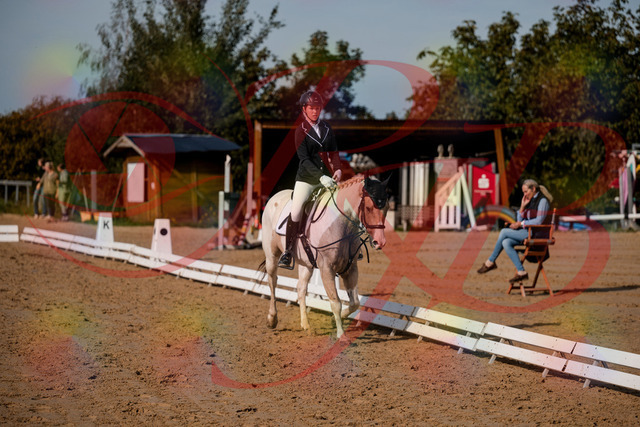 2026_10_03_Siefer-Hof_114712_Z63_25584814 | Professionelle Reitsport-, Turnier- und Eventfotografie von Robert Broda. Galerien mit ausgewählten und bearbeiteten Bildern direkt online ansehen und bestellen.