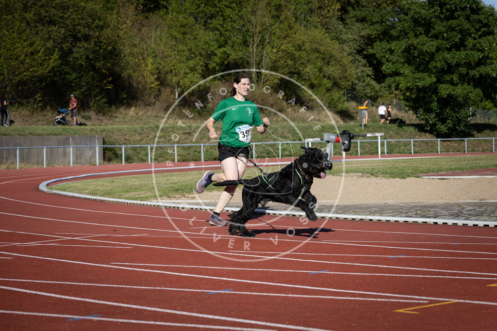 Pfotenfotografie_DV3A9264 | Hundefotografie, Tierfotograf, Pfotenfotografie, Fotoshooting Hund, Hunde Portrait, Hundesport, Hundeportraits, Heideshooting, Hunde, Sportfotograf, Hundefotograf, Turnierhundsport, THS,  - Realisiert mit Pictrs.com
