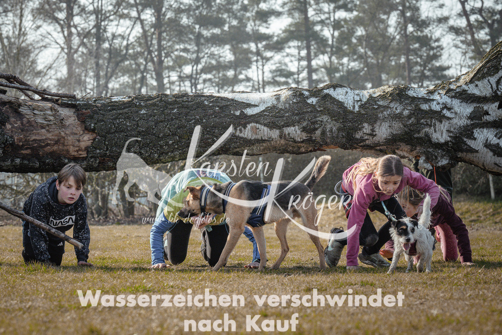 1011_ZZ91694 | kk-dogfotos