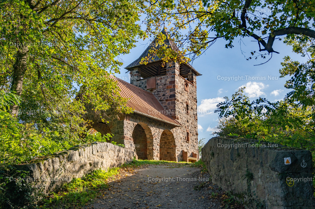 Herbst-Impressionen-Bergstrasse-48 | Herbst an der Bergstraße, goldener Oktober, auf dem Höhenweg und dem Bassmannpark, hier das von Heinrich Metzendorf gebautes Türmchen Luginsland im Volksmund "Blaues Türmchen " genannt, Bild: Thomas Neu