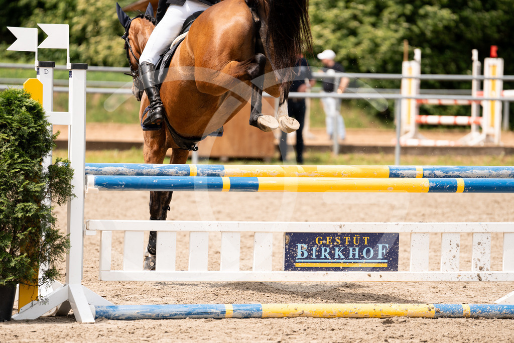 DSC02706 | Carolin Gieschke