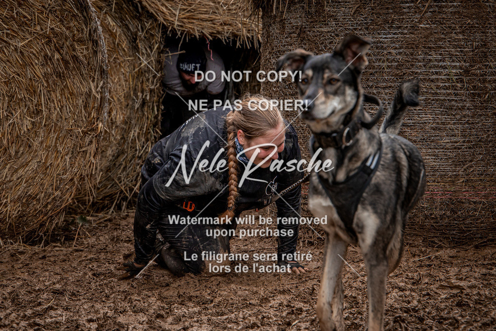 nelerasche_Hunsrück_So11-12_436 | nelerasche