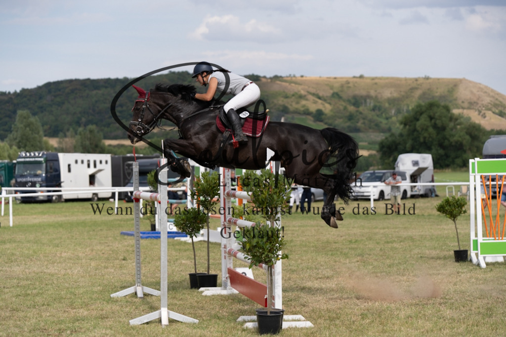 A7V02687 | Pferdefotograf