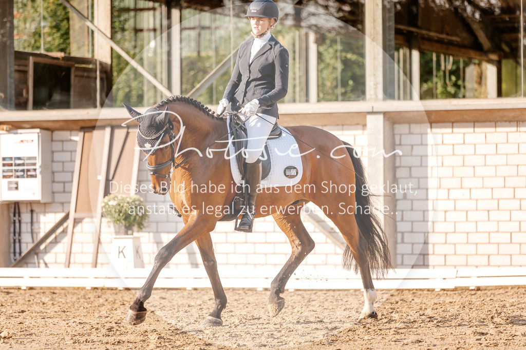 3I6A2373 | Stimmungsvolle Portraits und Reitsportfotografie im Ruhrgebiet und im Münsterland.

Pferdefotografie, Hundefotografie, Tierfotografie, Reportagen, Portraits von Tier und Mensch, Turnierfotografie in Bochum, Recklinghausen, Marl, Haltern am See, Dülmen.. - Realisiert mit Pictrs.com