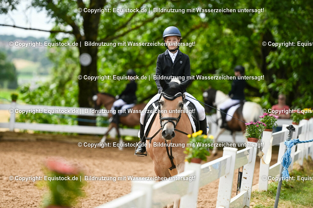 20230716_10-2_Reiter-WB Schritt - Trab - Galopp_0025 | equistock