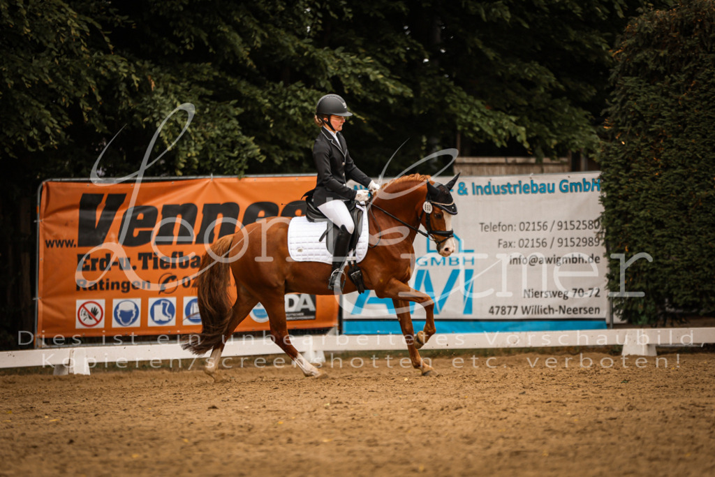 DoDrE00478 | Leoni Ertmer Photography - Realisiert mit Pictrs.com