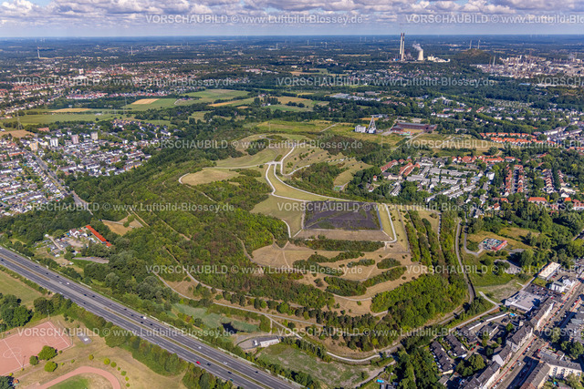 Gelsenkirchen220801643Buer | Luftbild, Rungenberghalde, Zeche Hugo Schacht 2 mit Förderturm, Buer, Gelsenkirchen, Ruhrgebiet, Nordrhein-Westfalen, Deutschland