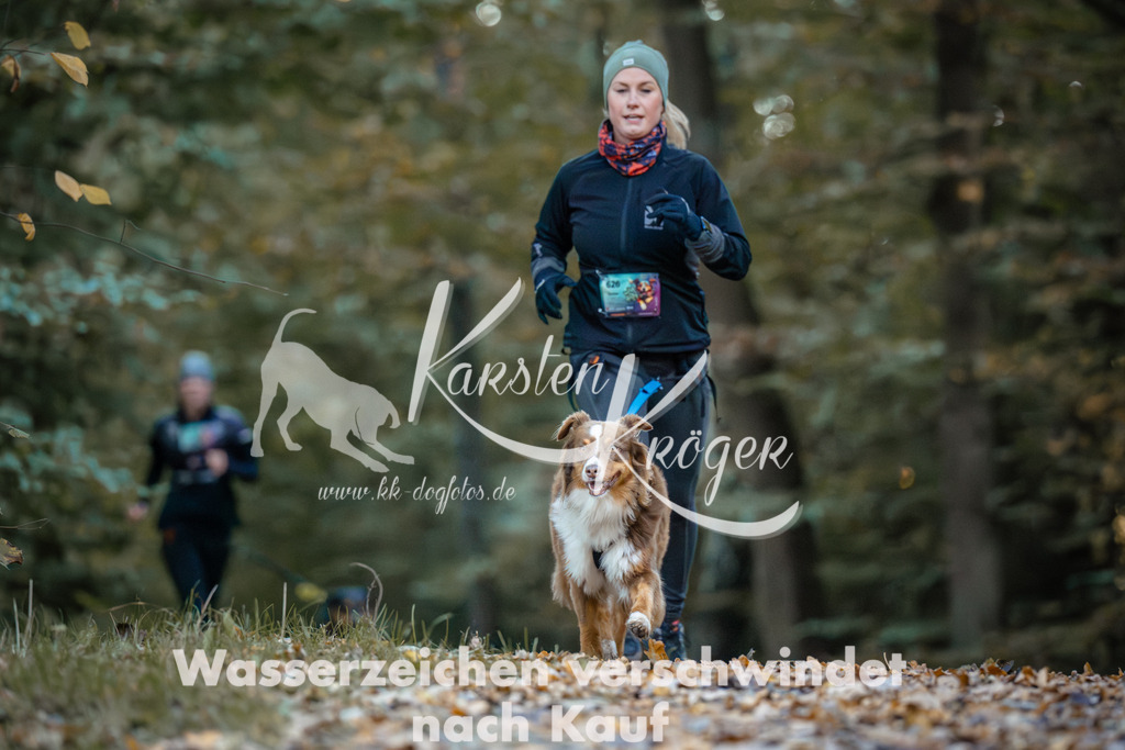 0900_ZZ96800 | kk-dogfotos