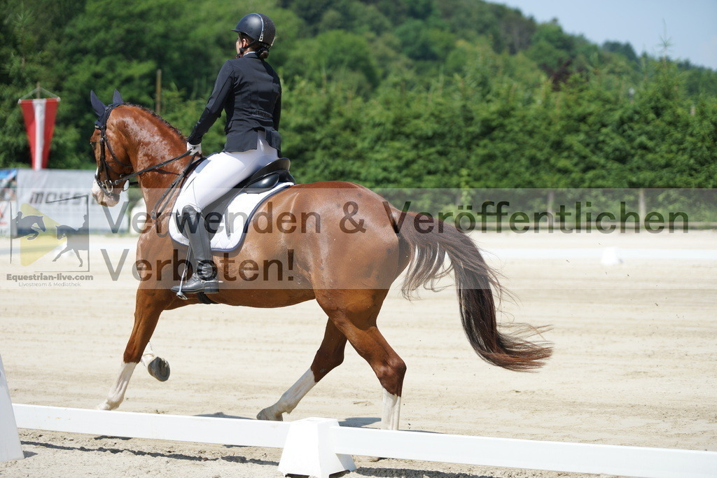 DSC04761 | equestrian-live-com