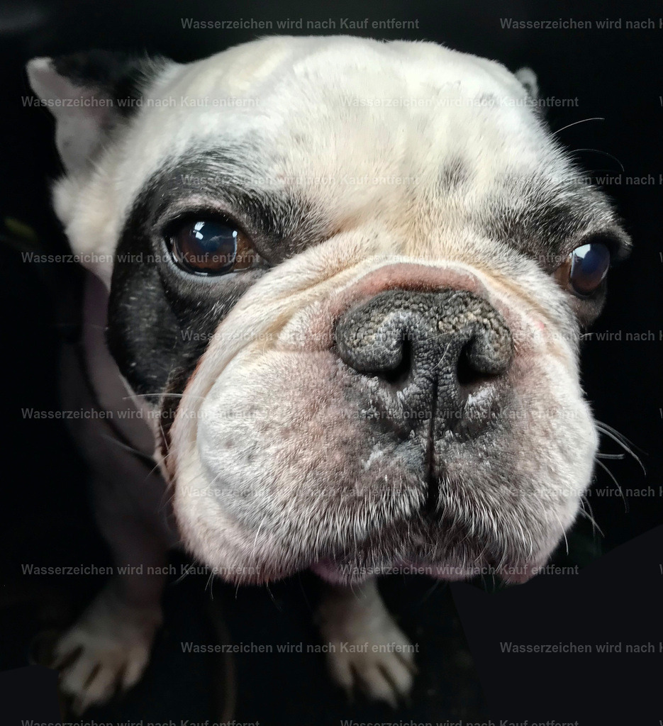 IMG_8681 | heikomoeller - Realisiert mit Pictrs.com