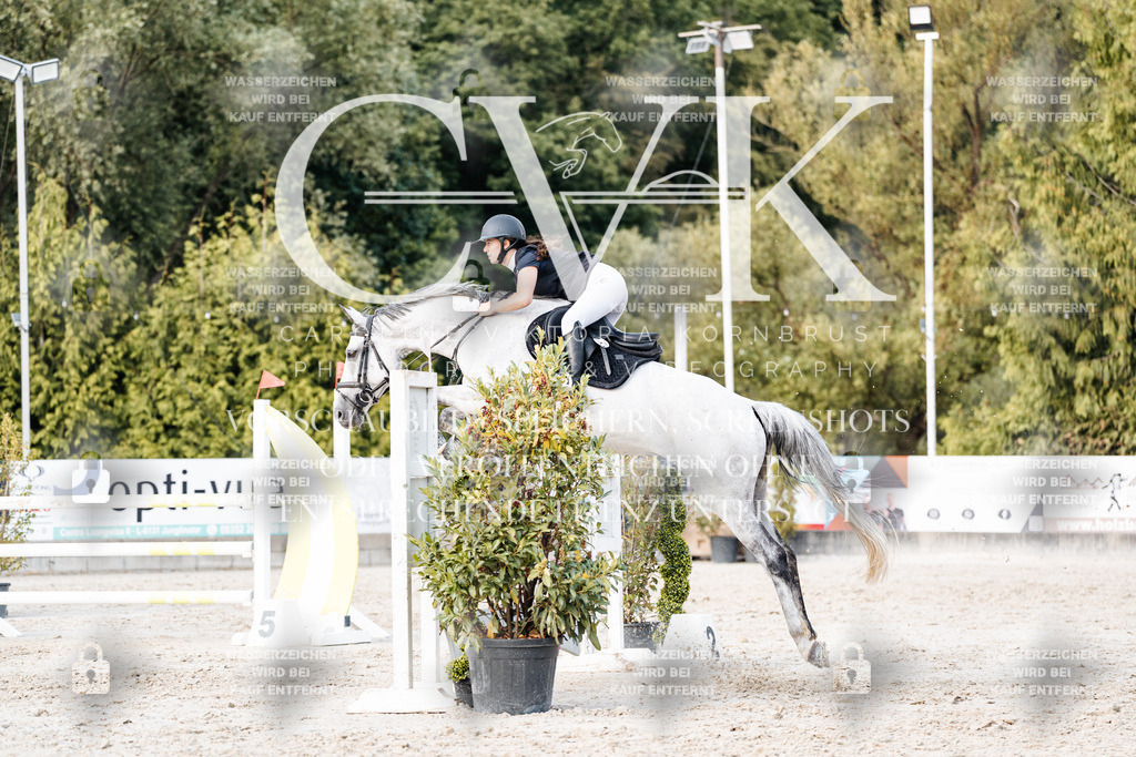 CK904018 | Turnierfotografie Pferdefotografie Trier Rheinland-Pfalz Pferdesport Reitsport Tierfotografie Sportfotografie Pferdevideo Pferdevideografie Equestrianvideography equestrianphotography  - Realisiert mit Pictrs.com