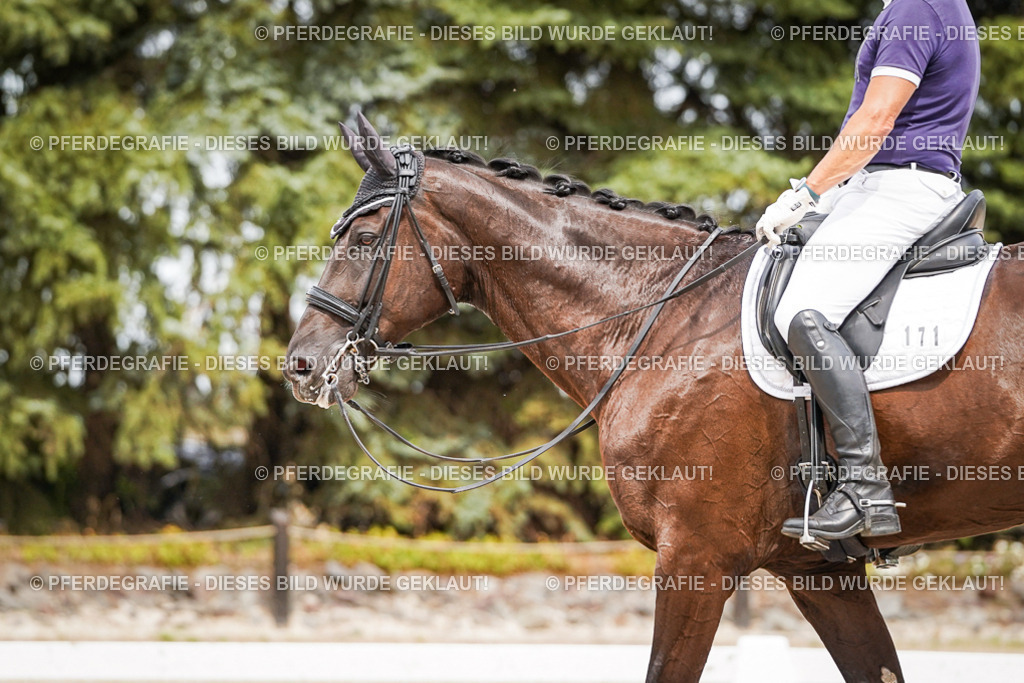 DSC06311 | Pferdegrafie