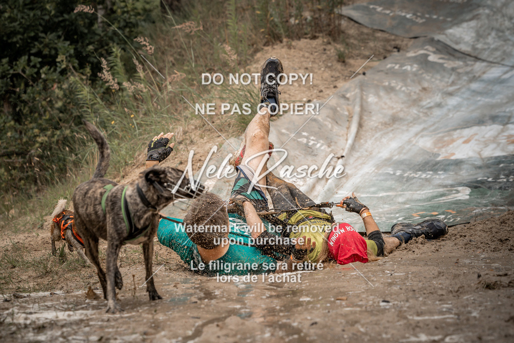 nelerasche_sa1200-1230_371 | nelerasche
