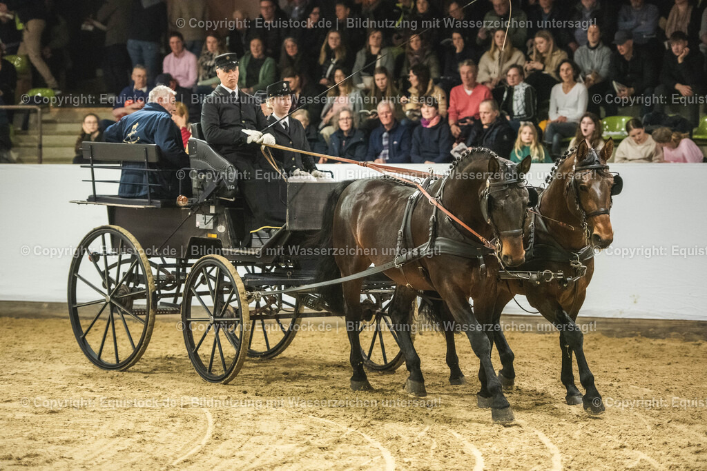 20240302_Hengstvorstellung_Marbach_TOMsPiC_0754 | equistock