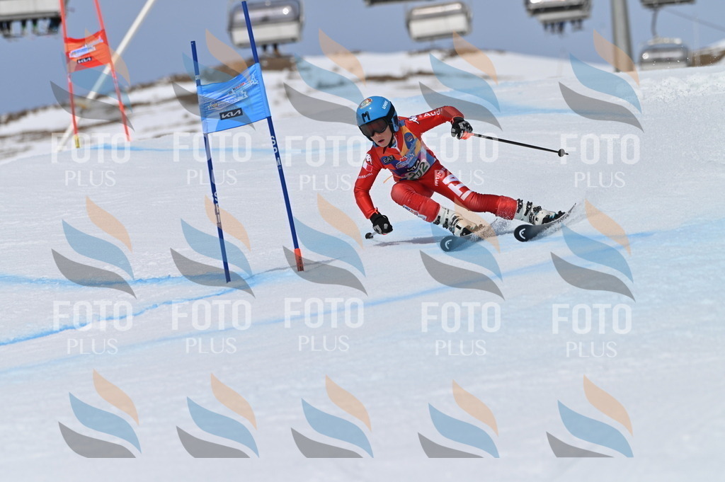 BGV_5831 | holidayphoto