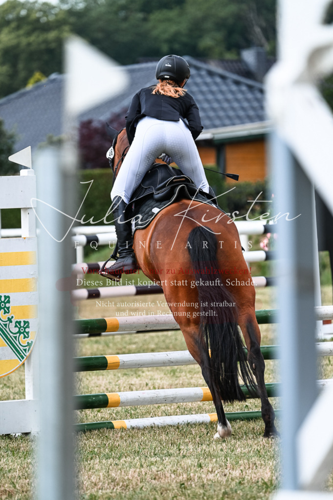 DSC_9018 | Pferde- und Turnierfotografie in Westsachsen. Pferdeportraits, Auftragszeichnungen und intuitive Kunst.