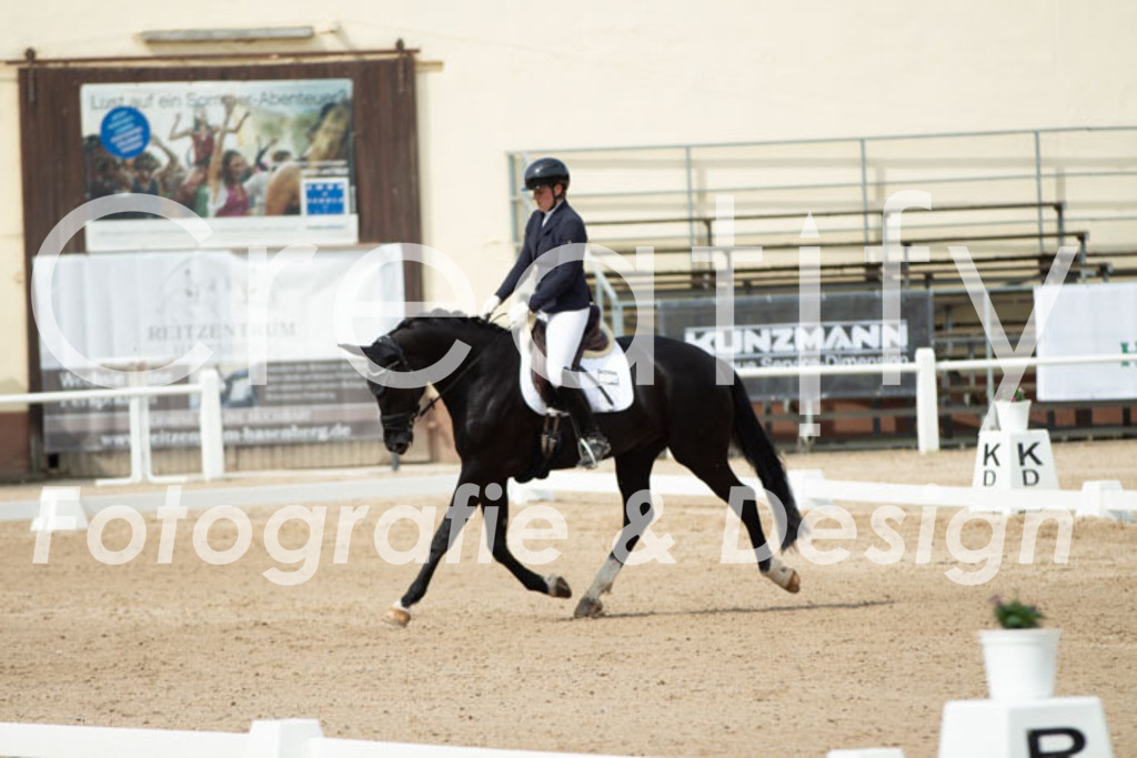 IMG_1760 | Creatify Fotografie