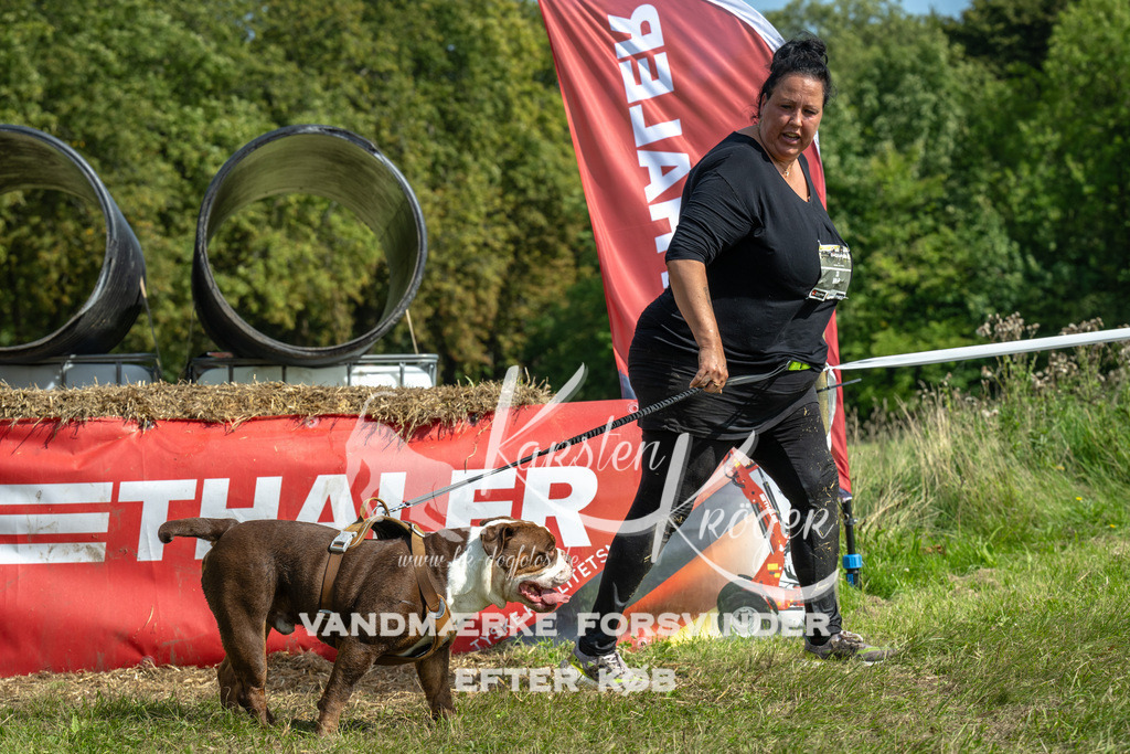 1312_ZZ92596 | kk-dogfotos