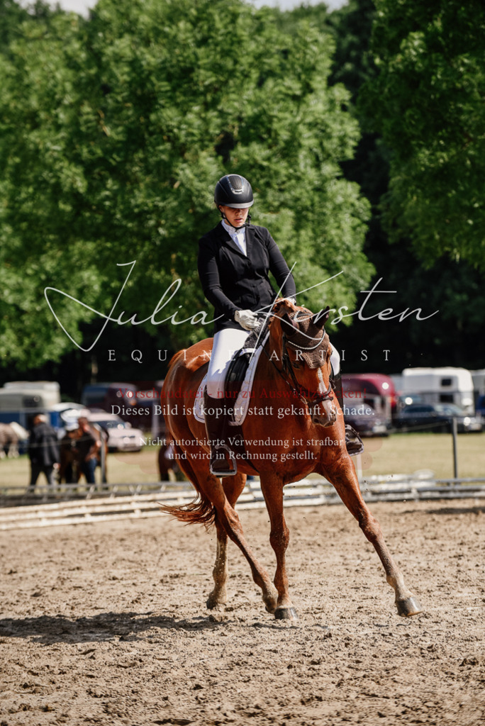 DSC_0305 | Pferde- und Turnierfotografie in Westsachsen. Pferdeportraits, Auftragszeichnungen und intuitive Kunst.