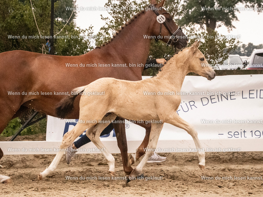 A10I1918 15.54.45 | photographylinaismer - Realisiert mit Pictrs.com