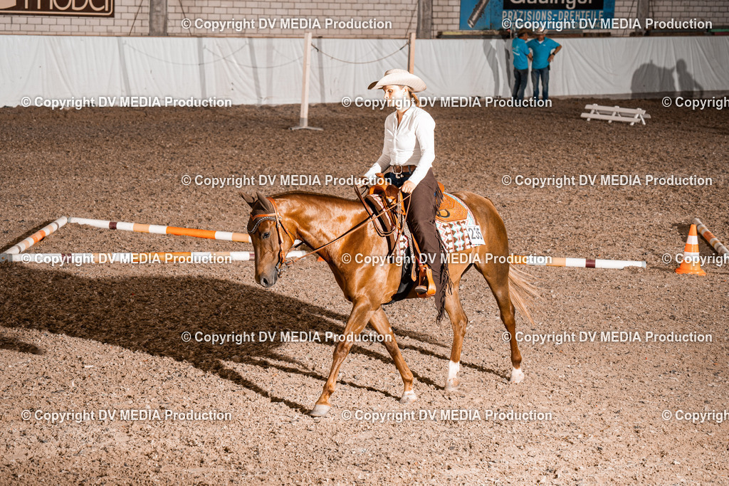 ZH200555 | dv-media-shop - Realisiert mit Pictrs.com