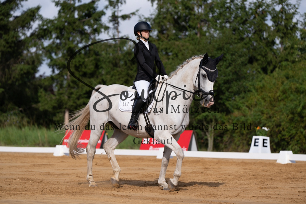 A7V05137 | Pferdefotograf